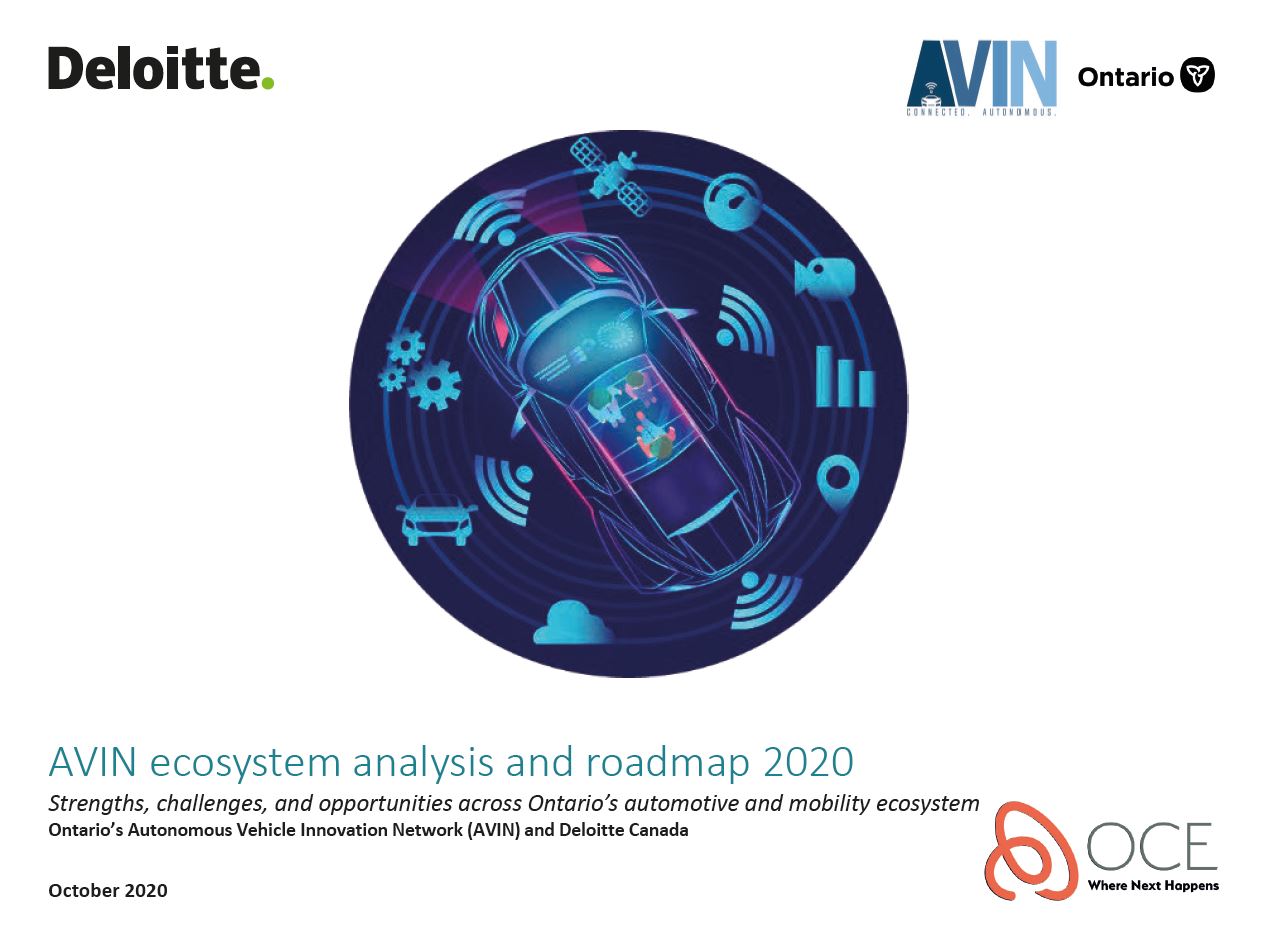 AVIN ecosystem analysis and roadmap 2020