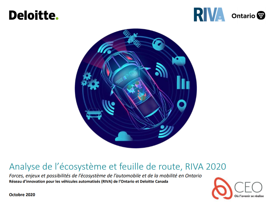 Analyse de l’écosystème et feuille de route, RIVA 2020